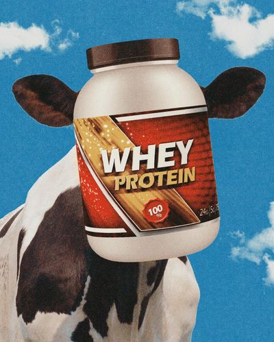 All the whey up! How a dairy byproduct became the star of the ‘proteinmaxxing’ boom