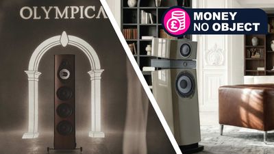 'I wouldn't even be able to afford the speaker stands' — two big-name audiophile brands just went head-to-head to release the best elite hi-fi tower speaker