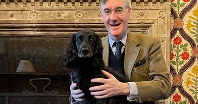 Economic expert debunks Jacob Rees-Mogg's 'criminally misleading' devolution chart
