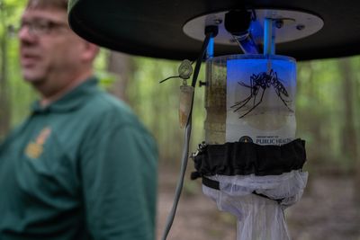 CDC Issues Fourth of July Warning as West Nile Virus Spreads to 23 States