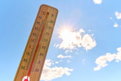 The Gardening Rule More Americans Are Ignoring During Heatwaves