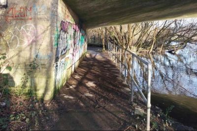 Teens detained for rapes of two girls in Fordingbridge after appeal