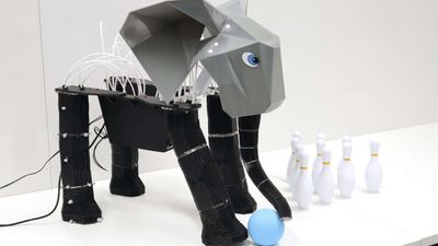 Elephant’s memory: MIT built a robot that could remember exactly where you left your household items