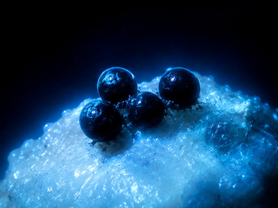 Scientists opened four jet-black eggs from 6,200 meters down and found a creature never seen before