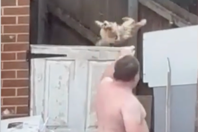 Man banned from keeping animals after being filmed throwing malnourished dog over 6ft gate