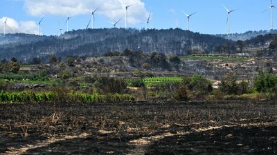 Firefighters battle blazes scorching southern France after record heatwave