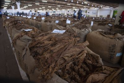 Imported Tobacco Has Been Operating Under Lower FDA Standards Than Domestic Products
