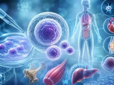 Govt brings stem cell, gene therapies under central licensing framework