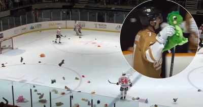 Chaotic, joyous scenes as teddies thrown onto AIS Arena to help kids in need