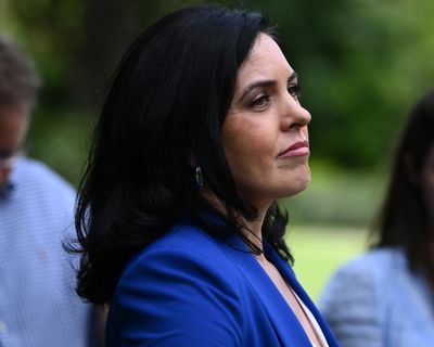 NSW shadow upper house leader steps aside during Icac Liberals inquiry – as it happened