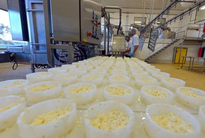 Requesón Cheese Listeria Outbreak Disproportionately Hits Hispanic Families, Officials Warn