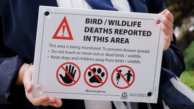 Wider spread fears as bird flu emerges in third state