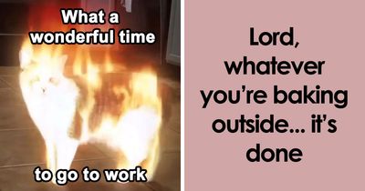 “You Know Just Who To Blame”: 62 Funny Memes About The Summer Heat Nobody Asked For