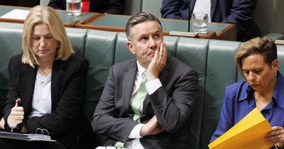 Health insurance saga: Greens welcome inquiry into planned rebate cuts