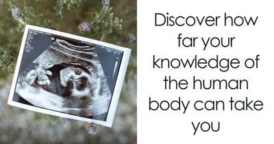 “Are You A Biology Buff?”: Prove It By Scoring 20/20 On This Human Body Quiz