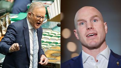 Rockstars & Politicians Are Weighing In On Albo’s Alleged $50B AI Deal: ‘A Violation’