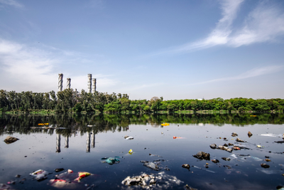 Toxic Waters Alert: New York Closes Five Beaches to Swimmers on Independence Day Weekend