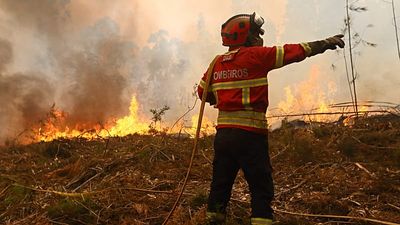 Portugal activates EU civil protection mechanism over wildfires