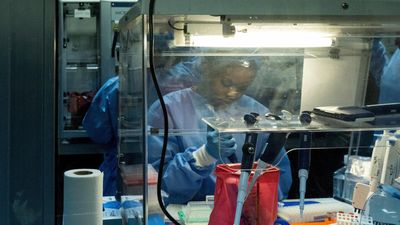 DRC trials experimental treatment for rare Ebola strain as outbreak worsens