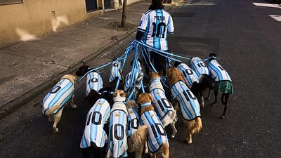 Dogs don Argentina shirts as World Cup fever grips Buenos Aires