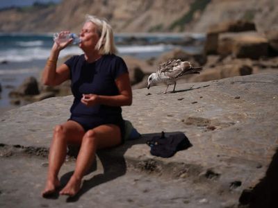Strong El Nino likely to develop rapidly, says UN weather agency