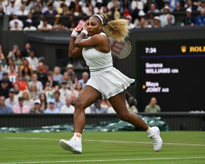 Digested week: Serena Williams transcends evolution as the rest of us sofa snack