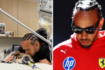 Lewis Hamilton pays tribute to dog Roscoe with surprising grand prix admission