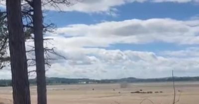 WW2 bomb detonated on Scottish beach after dozens of unexploded ordnance found