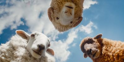 Amazon Just Quietly Added One Of The Best — And Most Surprising — Movies Of The Year
