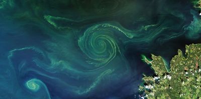Nanobubbles cleaned up the Lincoln reflecting pool: here’s how they could be used on dying seas and lakes