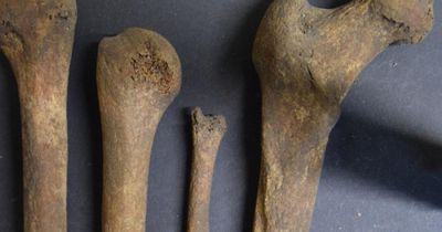 Evidence ancient Scots 'removed human brains for burials' found in Highlands