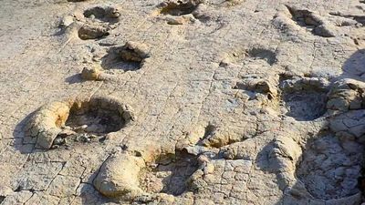 Mongolia's 120-million-year-old giant footprints reveal a forgotten dinosaur world