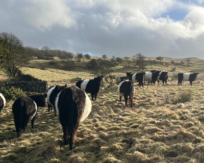 A moving account of farming’s downsides