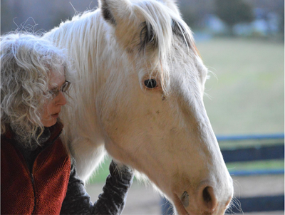 We Are Failing Horses and Calling It Good Horsemanship