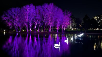 Dance of the robot swans lights up winter tech festival