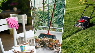 5 easy jobs you need to tick off your list to prepare the garden for guests this summer