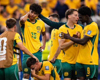 Zlatan Ibrahimovic sends support to Socceroo Lucas Herrington after last-32 shootout miss