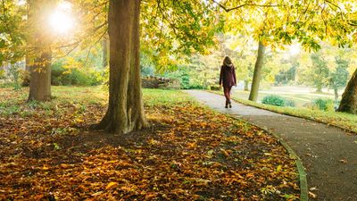 The NHS plans to offer rewards to people who walk for 30 minutes a day — here's everything we know, including the tech you'll need to take part