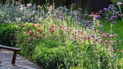 As a Pro Gardener I Always Use a Watering Wand – It's the Most Efficient and Easiest Way to Water Plants, Especially in a Heatwave