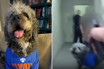 Woman whose dog was killed by LAPD cops while she celebrated the Knicks championship sues the city