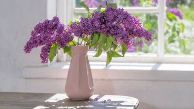 How to stop flowers wilting in a heatwave — 3 expert-approved tips