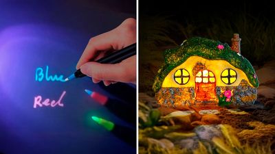 65 Weird New Things on Amazon Under $25 With Amazing Reviews