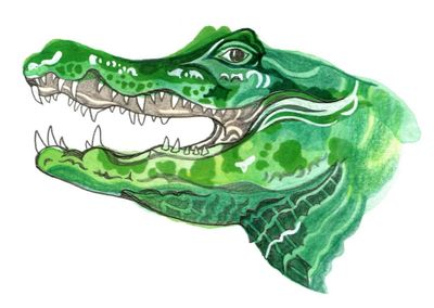 How many teeth do caiman have and what makes cats purr? The kids’ quiz