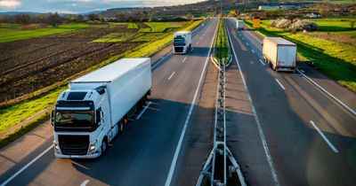 Jobs at risk as family-run Scottish haulage firm plunges into liquidation