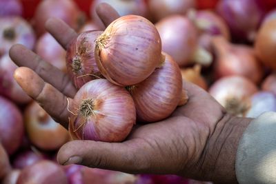 Govt raises onion procurement price by 13% as buffer stock buying struggles