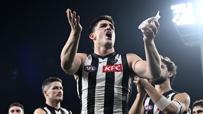 Magpie Maynard in hot water after nudge on umpire