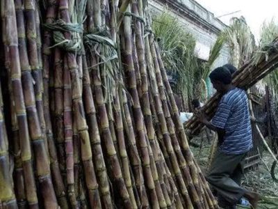Indian Potash Ltd ties up with UPL arm to boost sugarcane yield around Gujarat mill