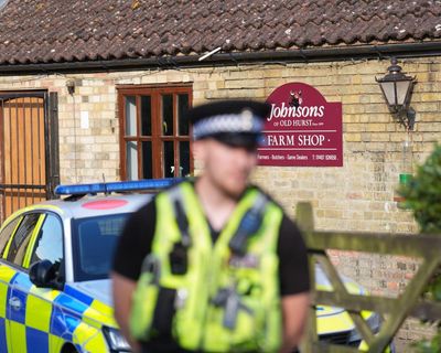 Three-year-old injured in UK crocodile enclosure faces ‘long rehabilitation’