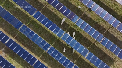 Fires linked to solar panels force Suffolk council to switch them off in 80 schools indefinitely