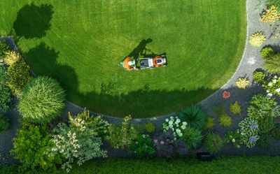 Why More People Are Choosing Functional Landscaping Over Traditional Lawns